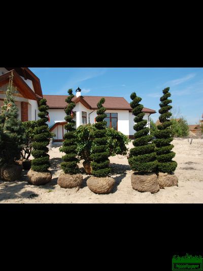 Сетка для комов РБ d800х1,47мм (упаковка 25 шт.)