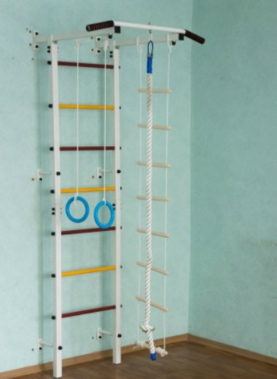 ШВЕДСКАЯ СТЕНКА+ТУРНИК (НЕСЪЁМНЫЙ)+КАНАТ, КОЛЬЦА, ЛЕСТНИЦА+МАТ 1*1 (ДЕТСКАЯ)