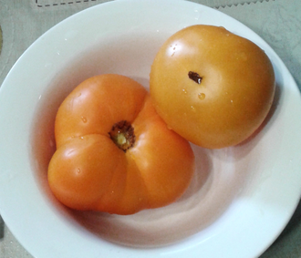 Семена томата Парень из Локстона Гном