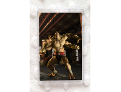 Магнит Мортал Комбат, Mortal Kombat №1