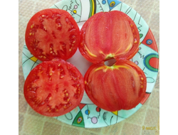 Томат Бычье сердце туймазинское