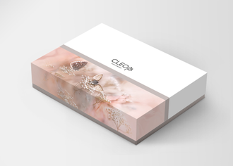 Постельное белье Cleo двуспальное жаккард 180х210х1 230х250х1 50х70х2 70х70х2 21/003-CC