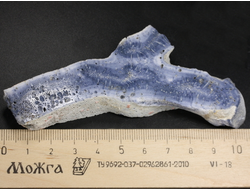 Коралл голубой Акори, Австралия (106*39*15 мм, 56 г) №37712