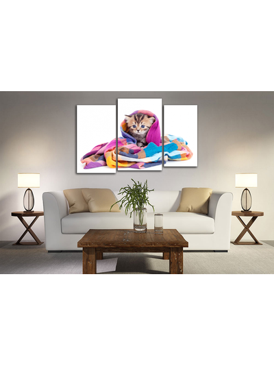Модульная картина "Котенок в шали"