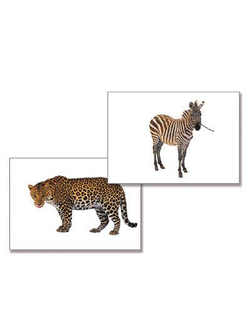 Вторая младшая группа (3-4)