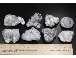 Кахолонг (Опал), желвак цельный в ассортименте, Оренбургская обл. (30-40 мм, 15-20 г) №29430