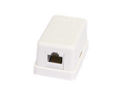 Настенная розетка NETLAN, 1 порт, Кат.5e (Класс D), 100МГц, RJ45/8P8C, 110, T568A/B, неэкранированная, белая