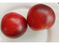 Томат Гондвана роза (Dwarf Gondwana Rose)