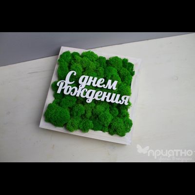 Живая Эко-Картина "C Днем Рождения" 1081