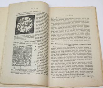 Общественная библиотека `Родины`. Книга 1-12 за 1906 г. СПб.: Кн-во Каспари, 1906.