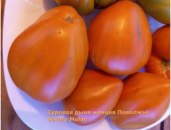 Томат Суровая Дыня немцев Поволжья (Severe Melon)