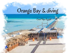 DIVING AND ORANGE BAY FROM HURGHADA