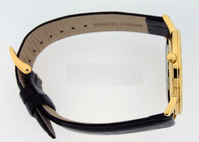 Мужские часы Orient GW01002W