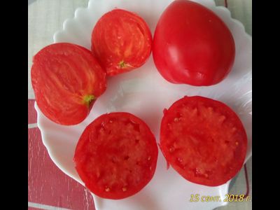 Томат Воловье сердце минусинское