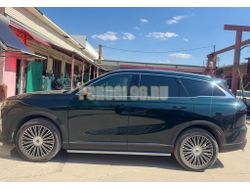 Защита штатного порога труба Папа Тюнинг d53 для CHERY Tiggo 9 2024-