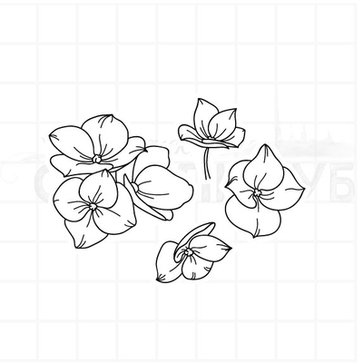 ФП штамп "Гортензия малая"