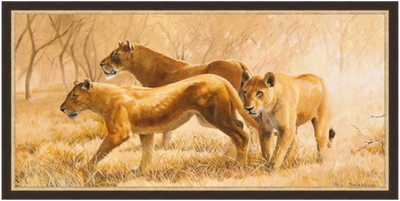 картина в раме 50 х 100 см Frank Norman - Savanna, Lionesses