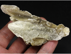 Мусковит, необработанный "дикий" образец, Бразилия (98*49*35 мм, 90 г) №36391