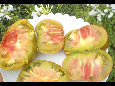 Томат Медная река (Cooper River)