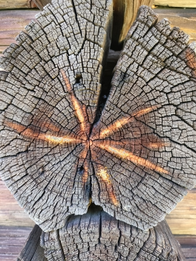 Прогулка на катере "Грани Заонежья: история, культура, природа"