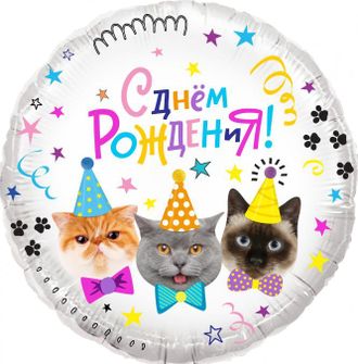 Шар Котики С Днем Рождения!