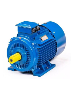 Электродвигатель 5АИ 180S4 (22 кВт) IM 1001