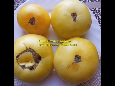 Томат Dwarf Summertime Gold (Гном Летнее Золото)