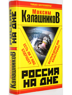 Калашников М. Россия на дне. Есть ли у нас будущее? М.: Яуза-Пресс. 2010г.