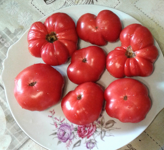 Семена томата Уэверли, Гном