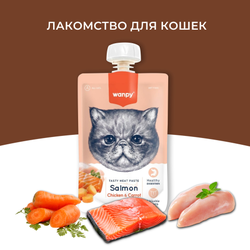 Wanpy Cat (Ванпи кэт) Лакомство для кошек Мясной мусс из лосося и курицы с морковью, 90 г