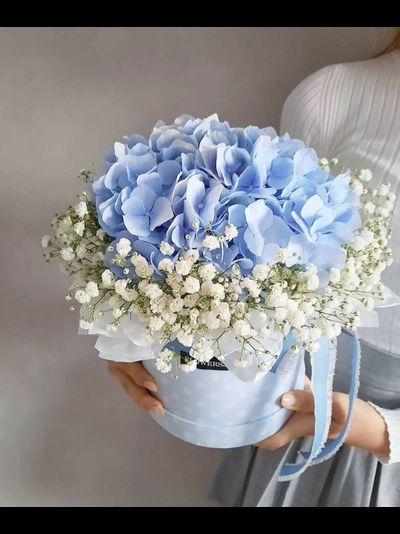 Коробка с гортензией и гипсофилой