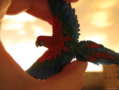 Ара, настоящий попугай. Брошь с попугаем. Миниатюра из полимерной глины