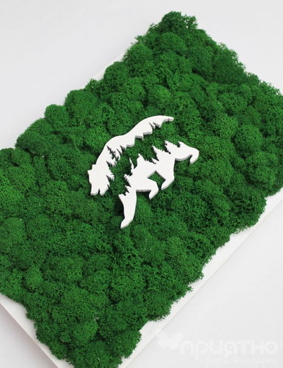 ЖИВАЯ ЭКО-КАРТИНА 1038