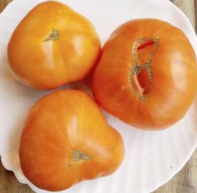 Томат Персики и крем (Peaches and Cream)