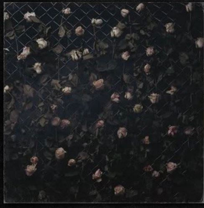 Wlvs - Заповедник Последних Иллюзий LP