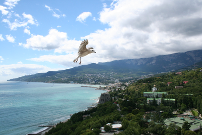 Крым: От Тарханкута до Ялты (2 дня/1 ночь)