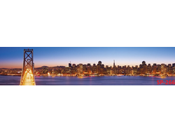 SP-266 Глянцевая стеновая панель ALBICO  2800*610*6мм.