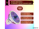 BLV WhiteStar EXT 6500K 50w 12v 12° GU5.3