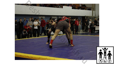 Помост для борцовского ковра