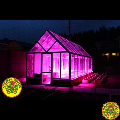 Базовая комплектация теплицы из стекла и алюминия ЧЕСТЕРФИЛД размером 8000 х 3000 мм