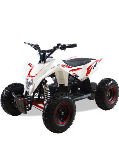 Детский квадроцикл Motax GEKKON 1300W