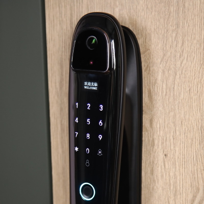 Стальная дверь   Ferrum (биометрический замок)