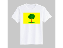 Футболка Липецк