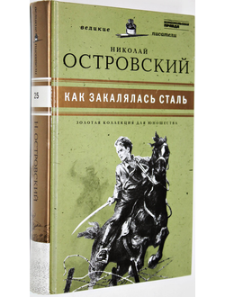 Островский Н. Как закалялась сталь. СПб.: Амфора. 2011г.