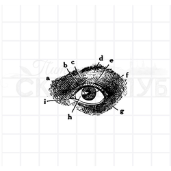 ФП штамп "Глаз 2" (а)