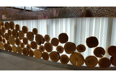 Декор на фудкорте спилами разных пород дерева, МЕГА Теплый Стан, г.Москва.