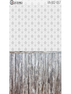 Фотофон «Эльфэль»