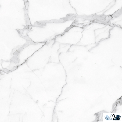 Керамогранит Alpas Euro Eco Marble 6291 60х60 см глянцевый, под Bianca Carrara