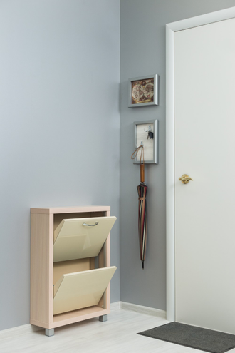 Обувница Айрон-2 (фасад стекло Капучино)