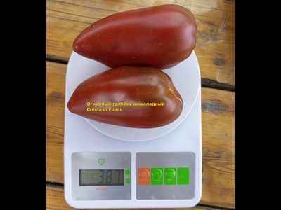 Томат Огненный гребень (Cresta di Fuoco) шоколадный, Италия